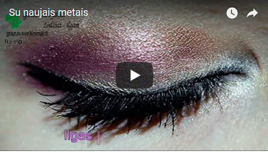 Su naujais metais video Su naujais metais video