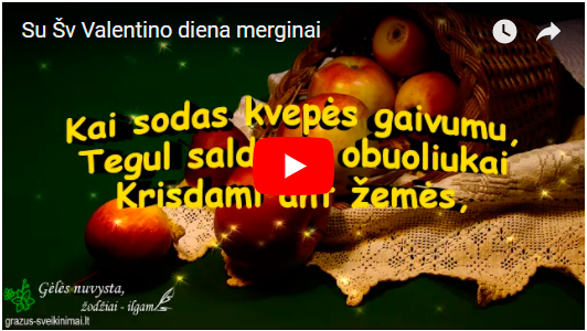 Pavasarinis meilės takelis Pavasarinis meilės takelis
