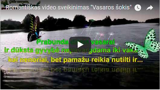 Vasaros šokis Vasaros šokis